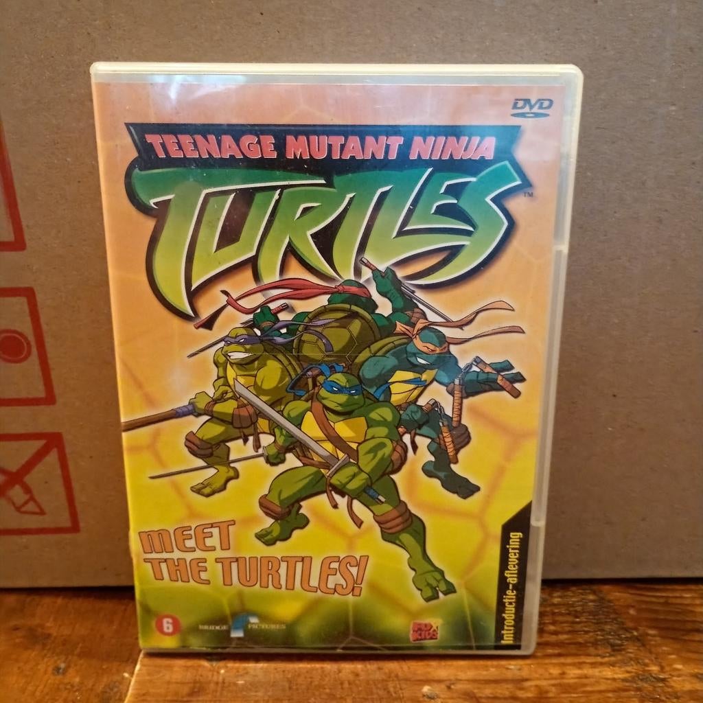 DVD Teenage Mutant Ninja Turtles - Meet the Turtles!, Gebruikt, Tekenfilm, Amerikaans, Ophalen of Verzenden