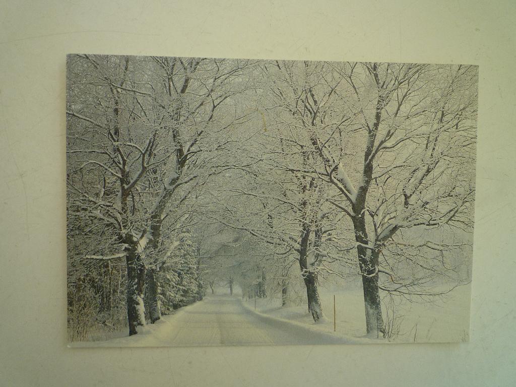 Art unlimited kaart winterlandschap foto Paul van Gaalen, Ophalen of Verzenden, Voor 1920