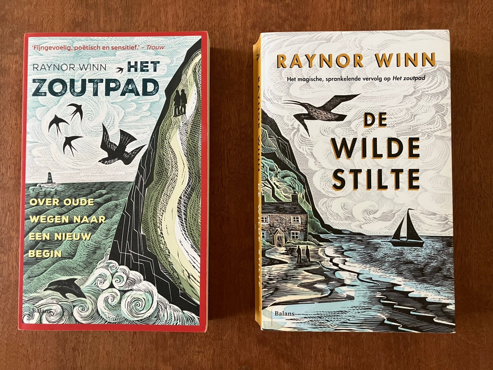 Raynor Winn • Het Zoutpad • De wilde stilte •, Ophalen of Verzenden, Zo goed als nieuw