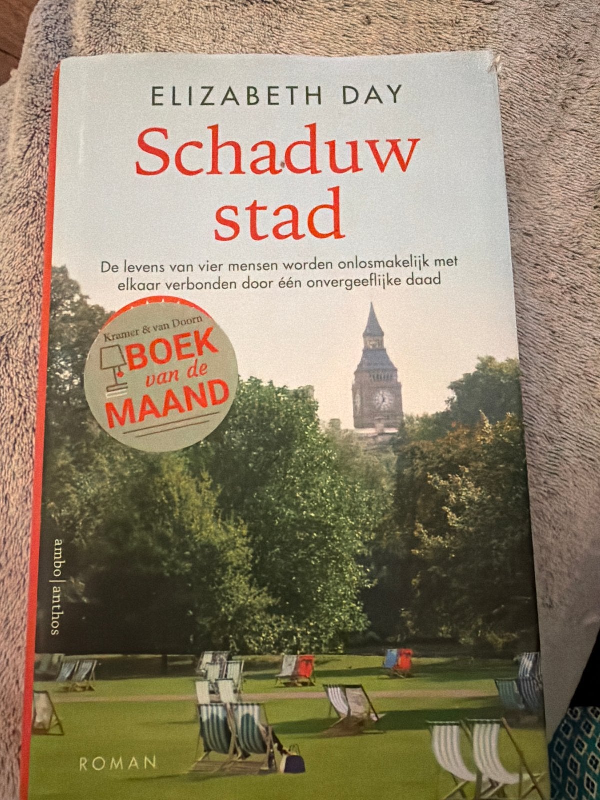 Schaduwstad - Elizabeth Day, Ophalen of Verzenden, Zo goed als nieuw