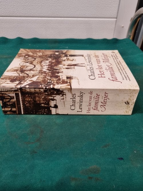 boek het lot van de familie meijer charles leweinsky, Ophalen of Verzenden