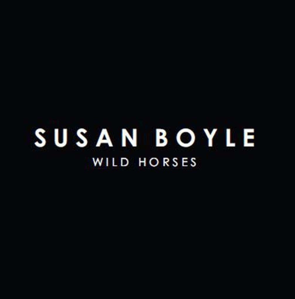Susan Boyle - Wild Horses (PROMO), Ophalen of Verzenden, Zo goed als nieuw, Overige genres