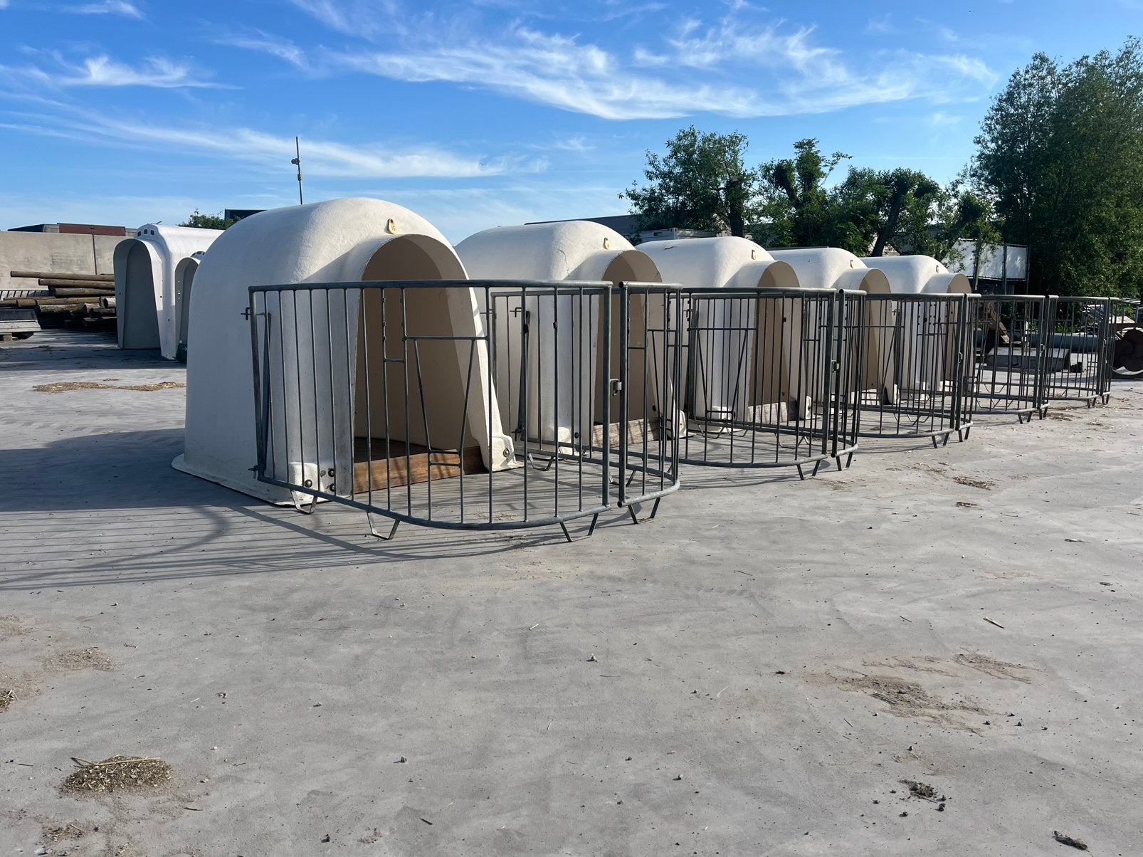 5x Calfotel iglo