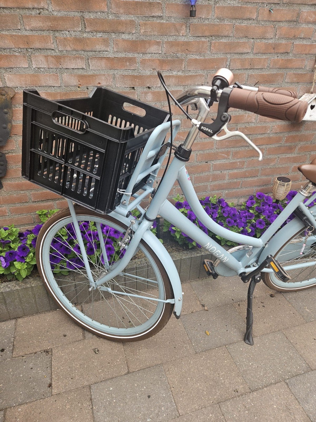 Nogan Damesfiets met Voordrager en Mand - 45,5 cm, Fietsen en Brommers, Fietsen | Meisjes, Ophalen, Gebruikt, 26 inch of meer
