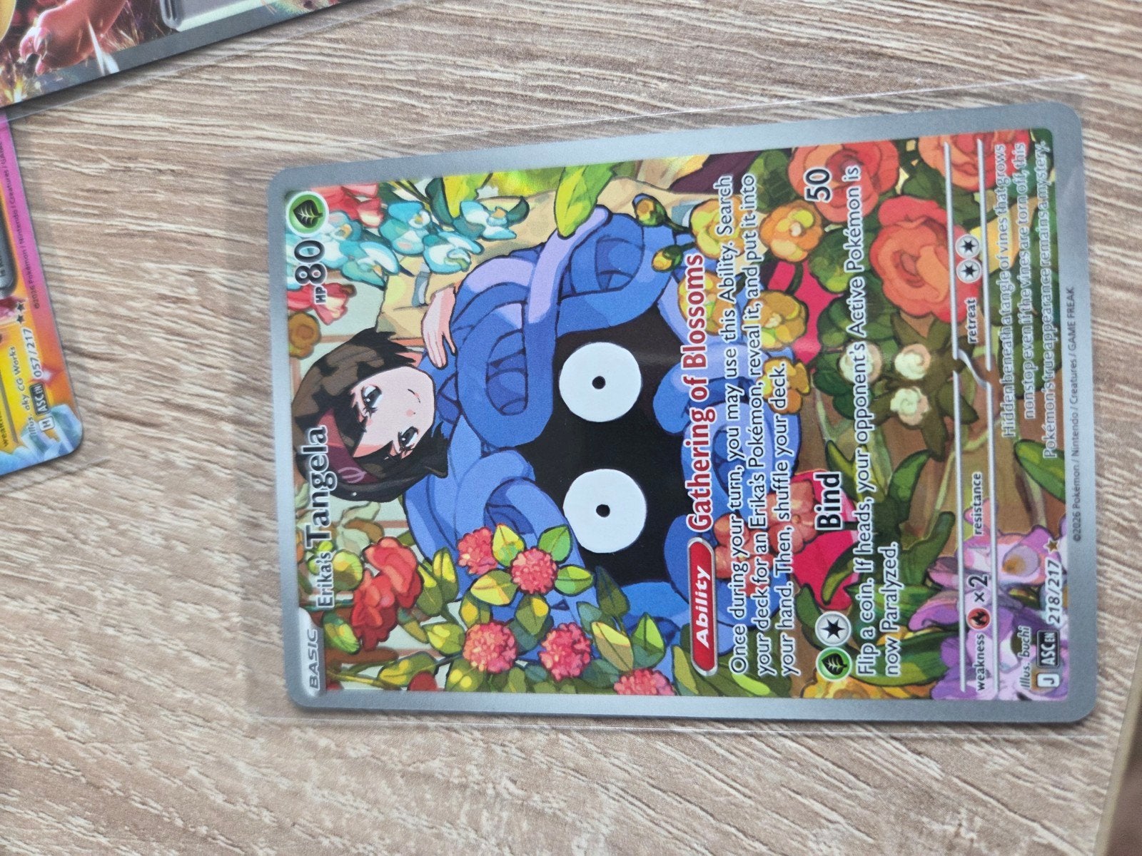 Erika's Tangela ASC 218, Ophalen of Verzenden, Nieuw