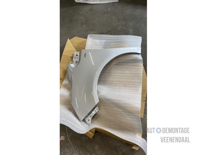 Scherm links-voor van een Opel Meriva (Z176), -, -, Opel, Nieuw