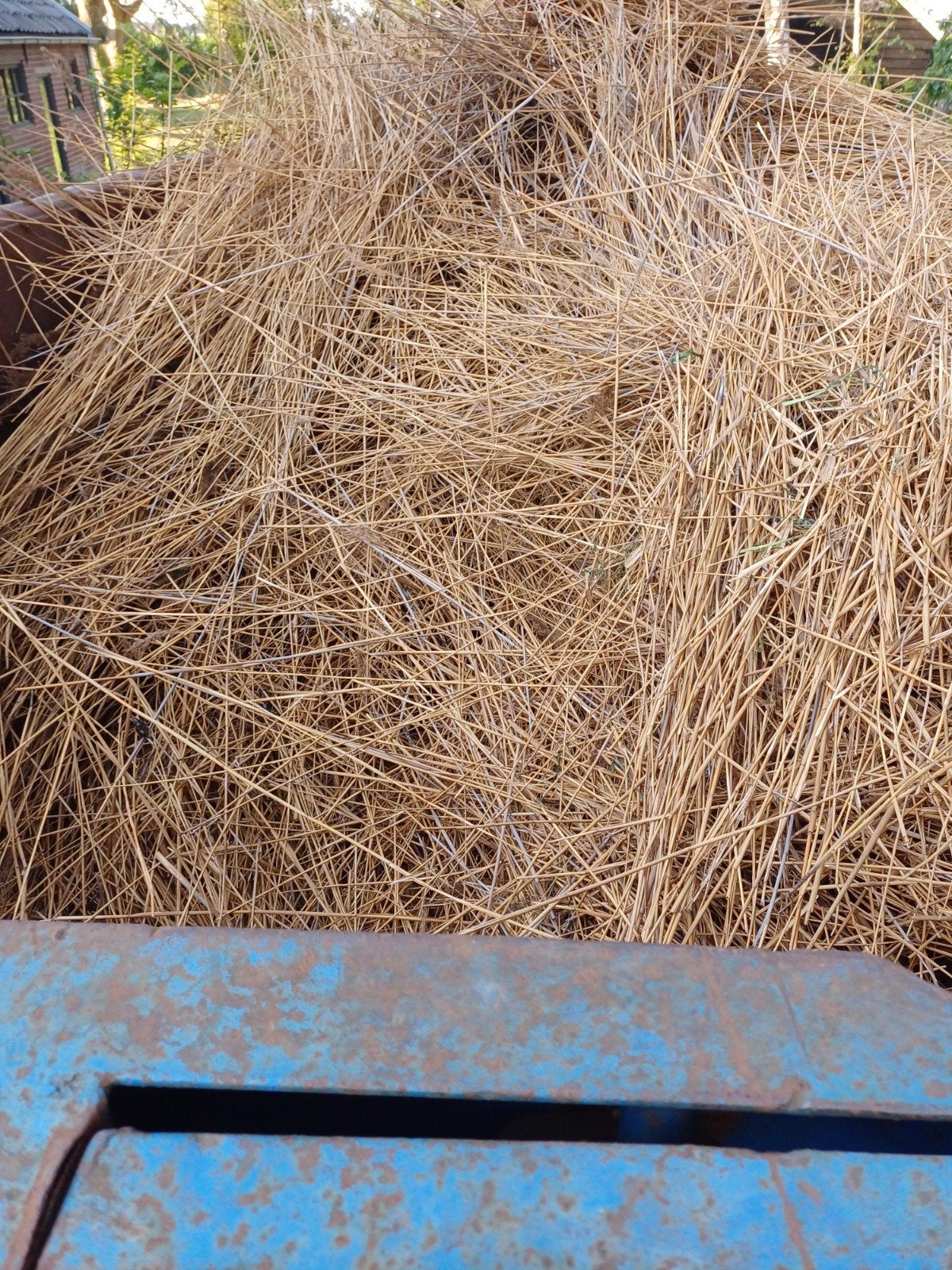 Riet gratis, Ophalen