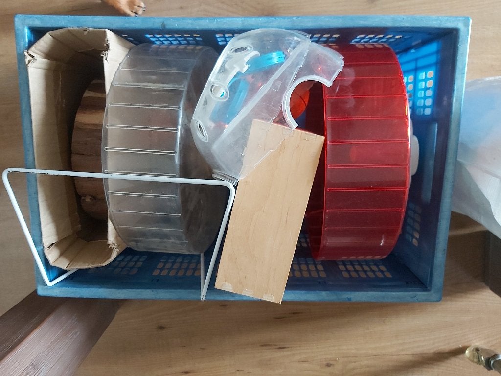 Gratis spullen (kleine) knaagdieren, Dieren en Toebehoren, Ophalen, Gebruikt