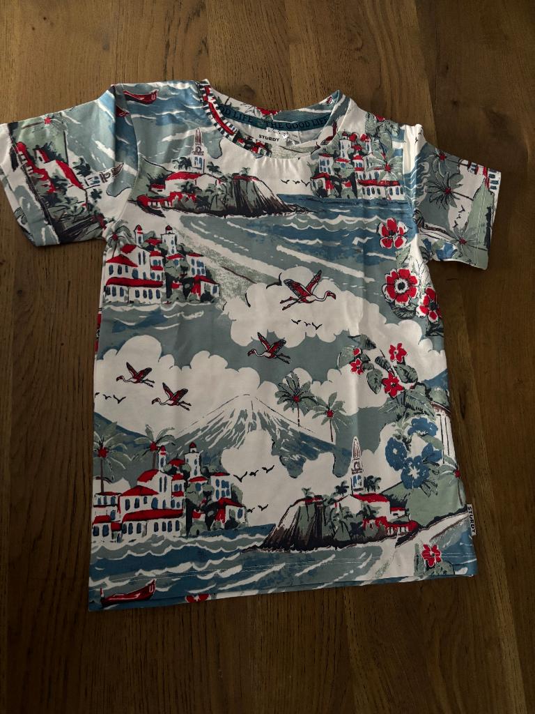 T-shirt van Sturdy maat 122 (advr 54), Sturdy, Ophalen of Verzenden, Zo goed als nieuw, Shirt of Longsleeve