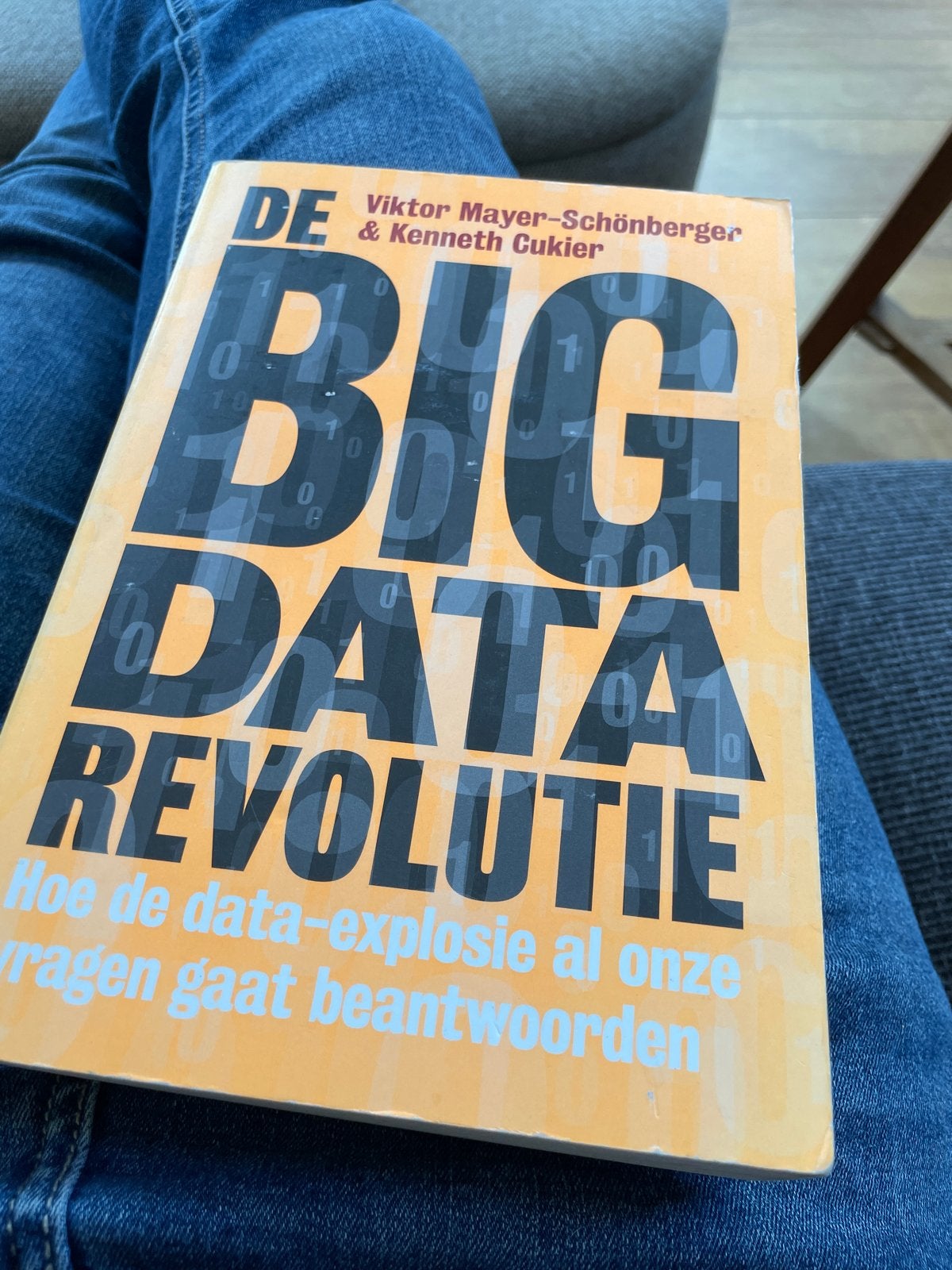 De Big Data Revolutie - Viktor Mayer-Schönberger, Ophalen of Verzenden, Gelezen, Vakgebied of Industrie