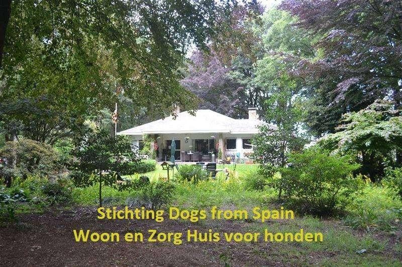 Hondenvoer gevraagd voor hondentehuis, Dieren en Toebehoren, Dierenvoeding, Ophalen of Verzenden, Hond