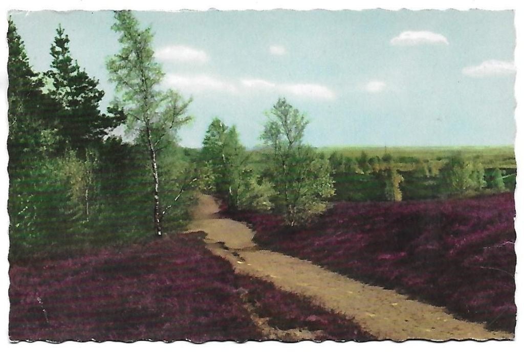 Omgeving Posbank Oude ongelopen Ansichtkaart ( B1528 ), Ophalen of Verzenden, 1940 tot 1960, Ongelopen