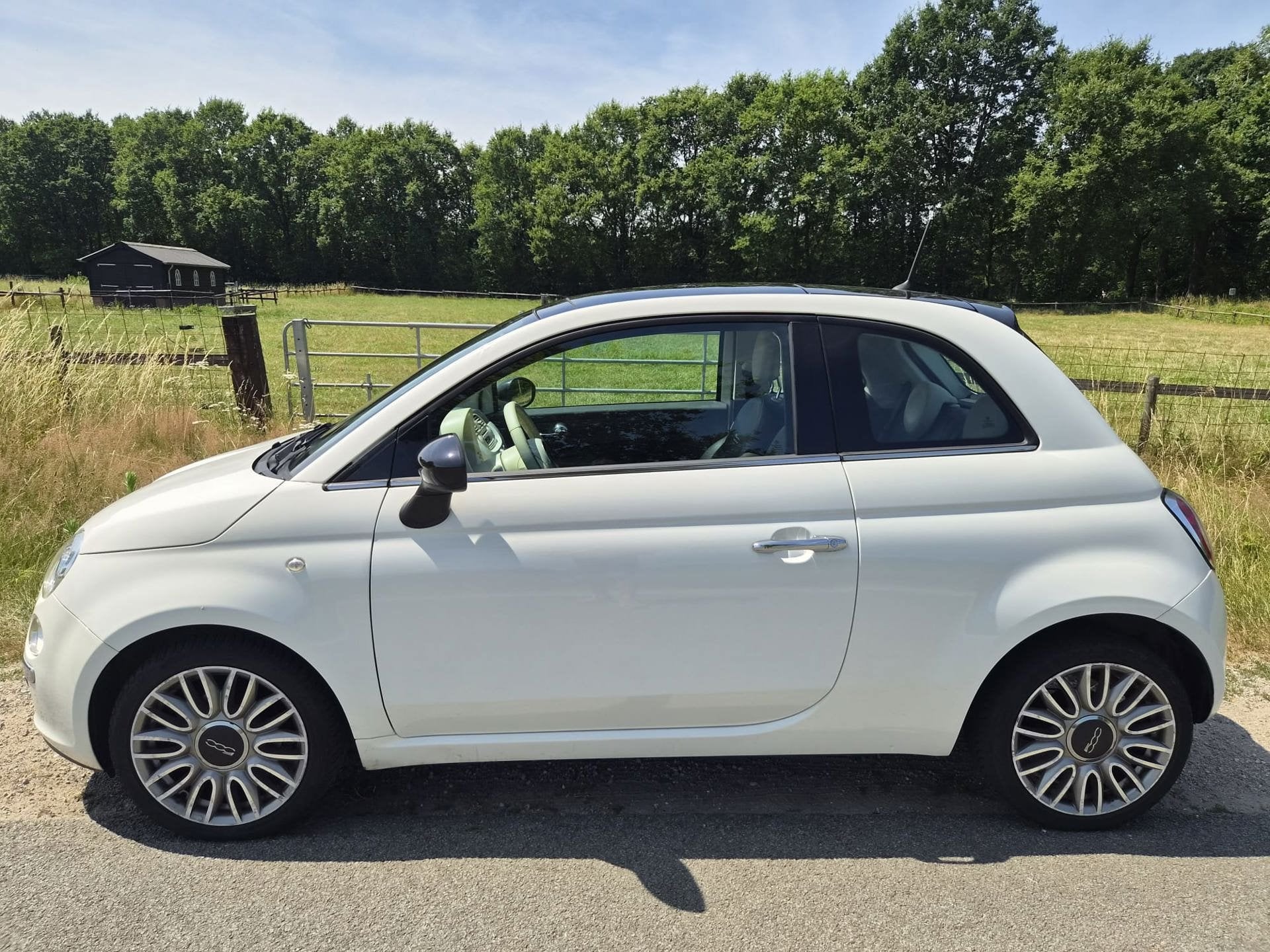 Fiat 500 0.9 TwinAir Turbo Cult schuifdak, lederen bekleding, Auto's, Fiat, Parkeersensor, Gebruikt, Bedrijf, Handgeschakeld