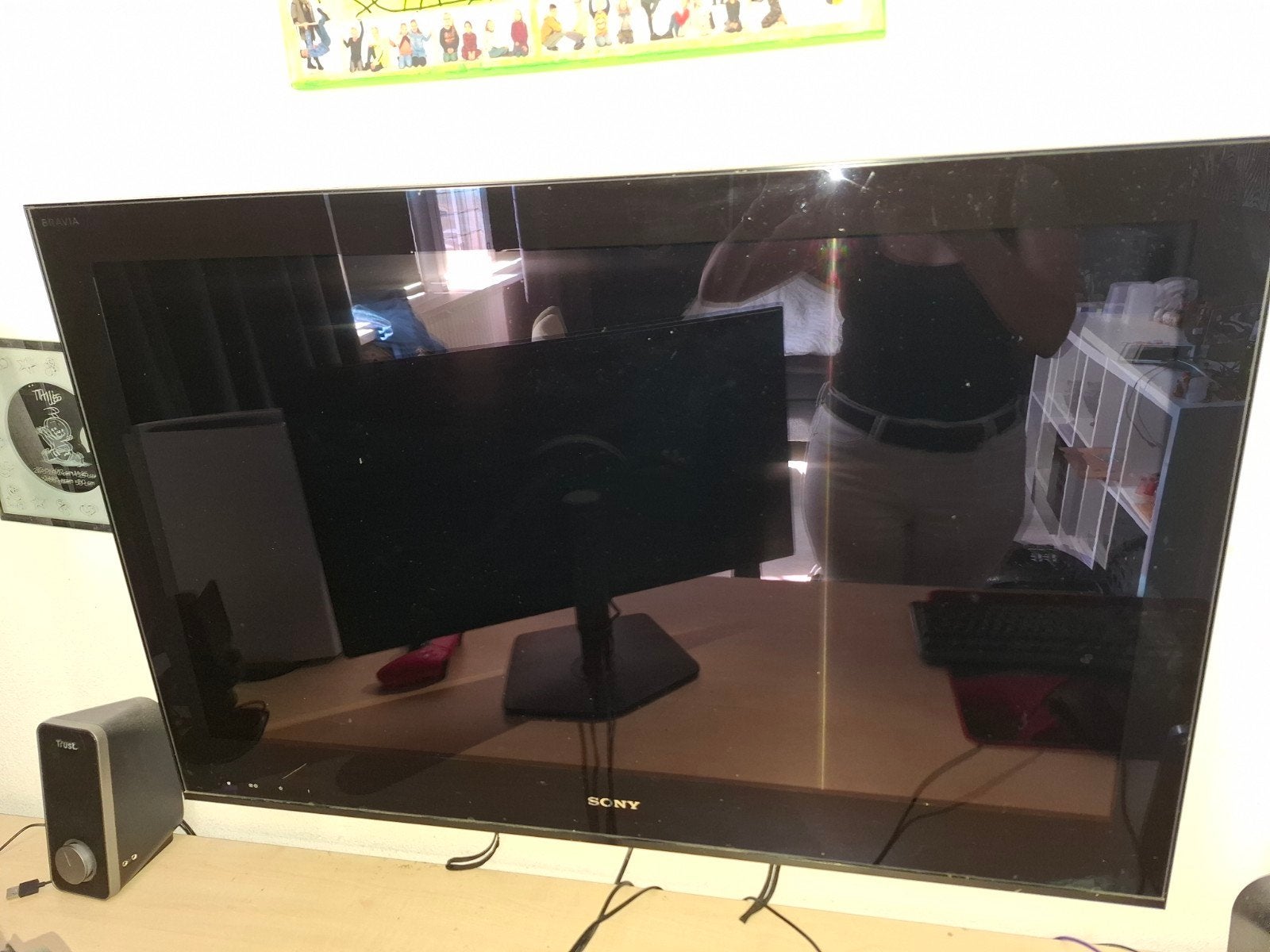 Mooie Sony Bravia kleuren TV 146 cm, Ophalen, Gebruikt, 100 cm of meer, Sony