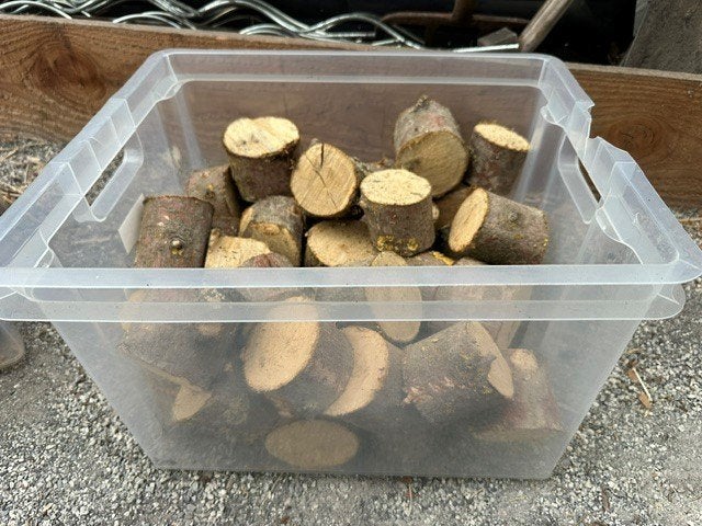 Gedroogd appelhout als haardhout – ook geschikt voor de BBQ!, Minder dan 3 m³, Ophalen, Overige houtsoorten, Blokken
