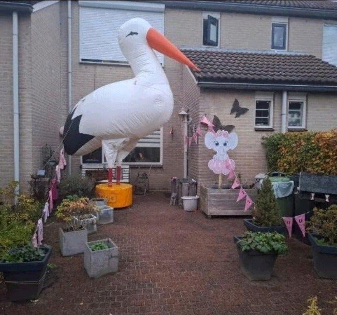 Opblaas ooievaar 4 meter hoog te huur!, Ophalen, Gebruikt, Geboortebord