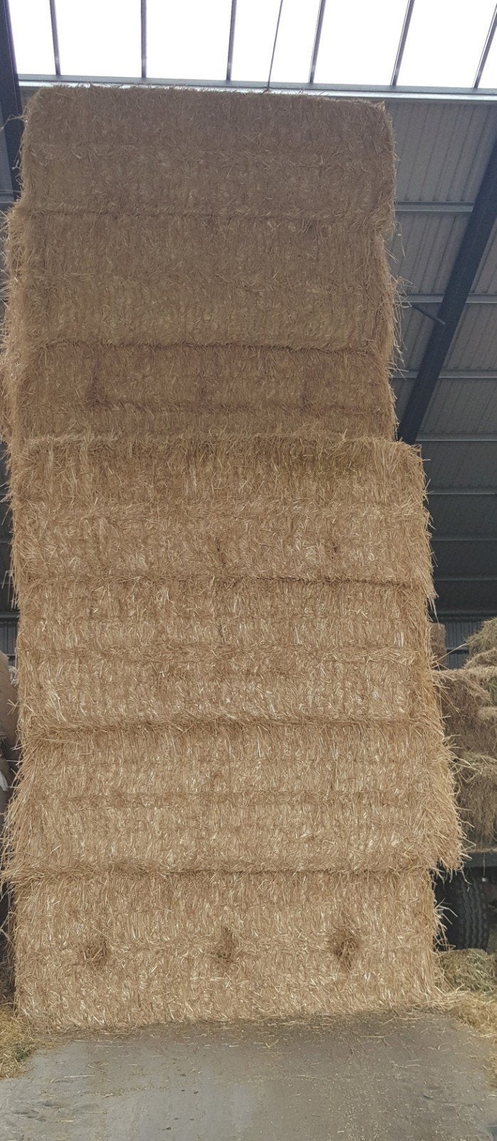 Gerste en tarwe stro grote balen, Ophalen of Verzenden