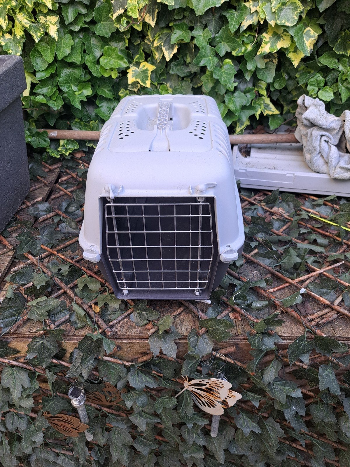 Reismandje, Dieren en Toebehoren, Ophalen of Verzenden, Zo goed als nieuw