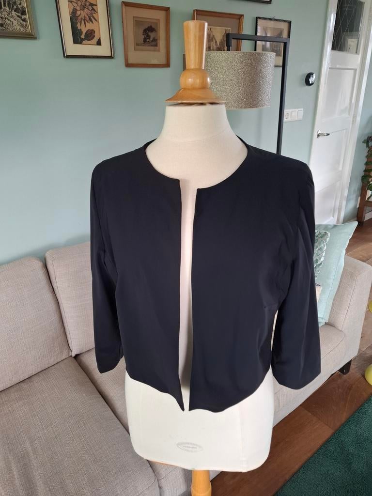 LaDress blazer maat L, Kleding | Dames, Jasjes, Kostuums en Pakken, Zwart, Maat 42/44 (L), Ophalen of Verzenden, Zo goed als nieuw