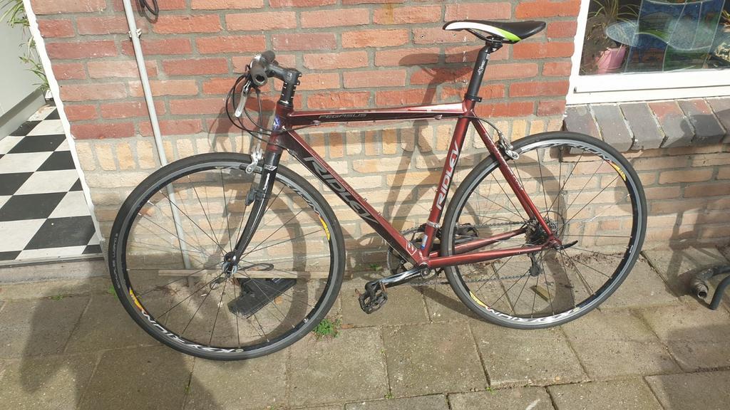 Ridley Pegasus Sharp Edge Design, 55 tot 59 cm, Ophalen