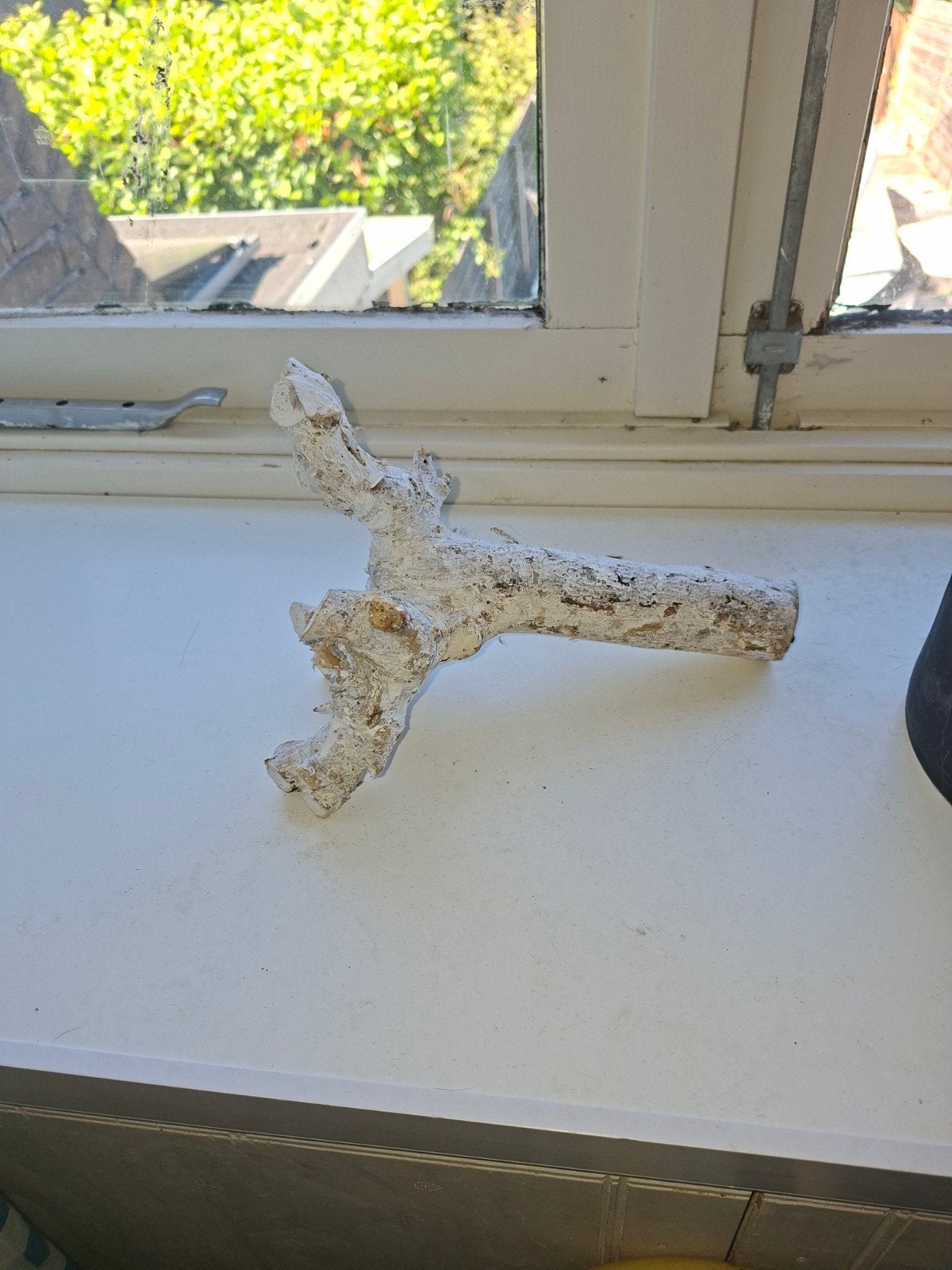 Decoratieve sierhout tak - uniek stuk, Huis en Inrichting, Ophalen, Hout, Gebruikt, Landelijk