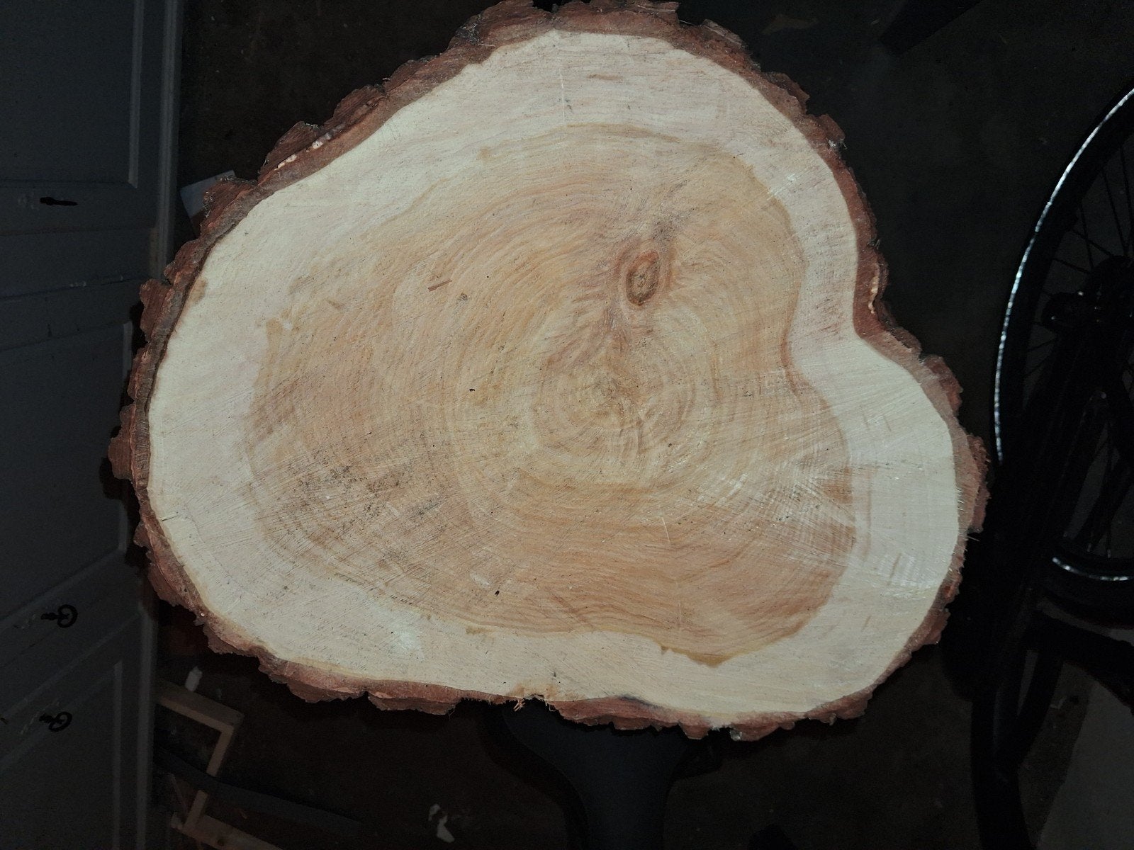 boomstam schijf, Ophalen of Verzenden, Overige houtsoorten, 50 mm of meer, Minder dan 200 cm