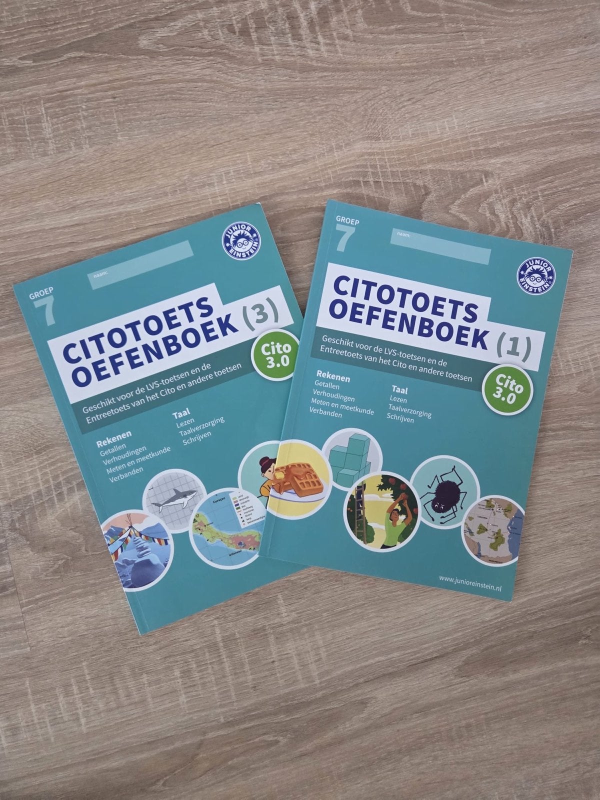 Cito Oefenboeken Groep 7 (deel 1 en 3) - Junior Einstein, Ophalen of Verzenden, Zo goed als nieuw, Overige niveaus