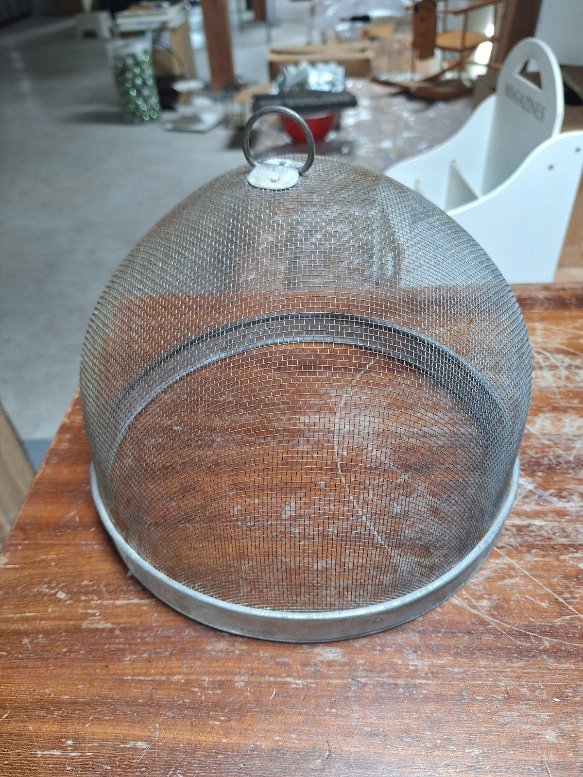 Oude metalen cloche, vliegenkap, Ophalen, Gebruikt, Geschikt voor buiten, Metaal