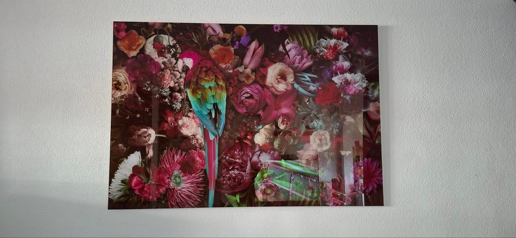 glasplaat  print met papegaai en bloemen, Ophalen, 125 cm of meer, 75 cm of meer, Print