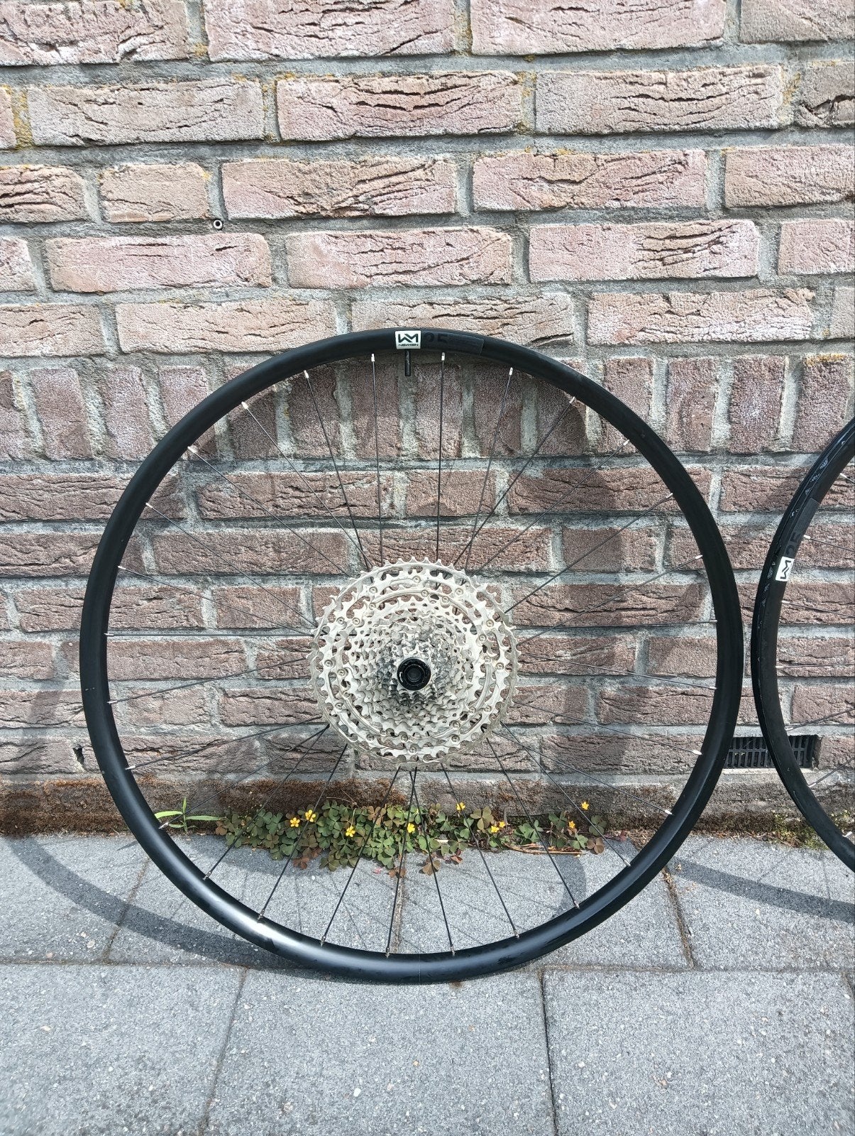 Newmen Performance 25 Gravel Wielset met Cassette, Fietsen en Brommers, Wiel, Ophalen of Verzenden, Zo goed als nieuw, Gravelbike
