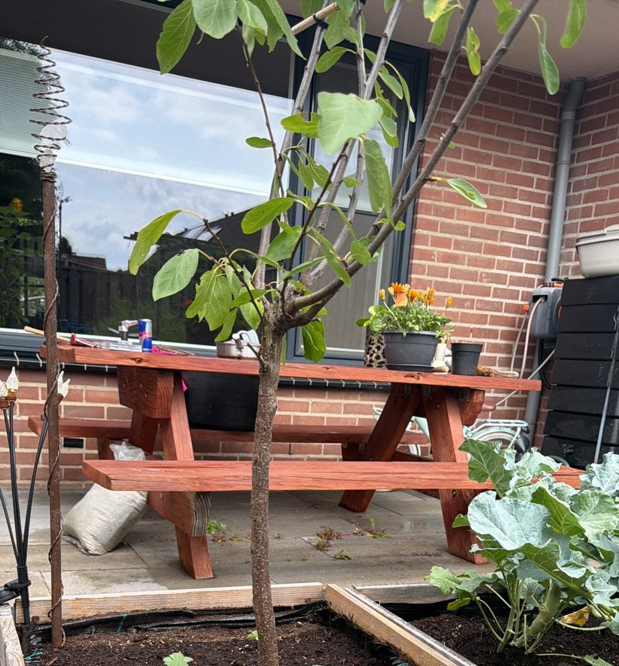 Douglas picknicktafel, Ophalen, Gebruikt, Rechthoekig, Hout