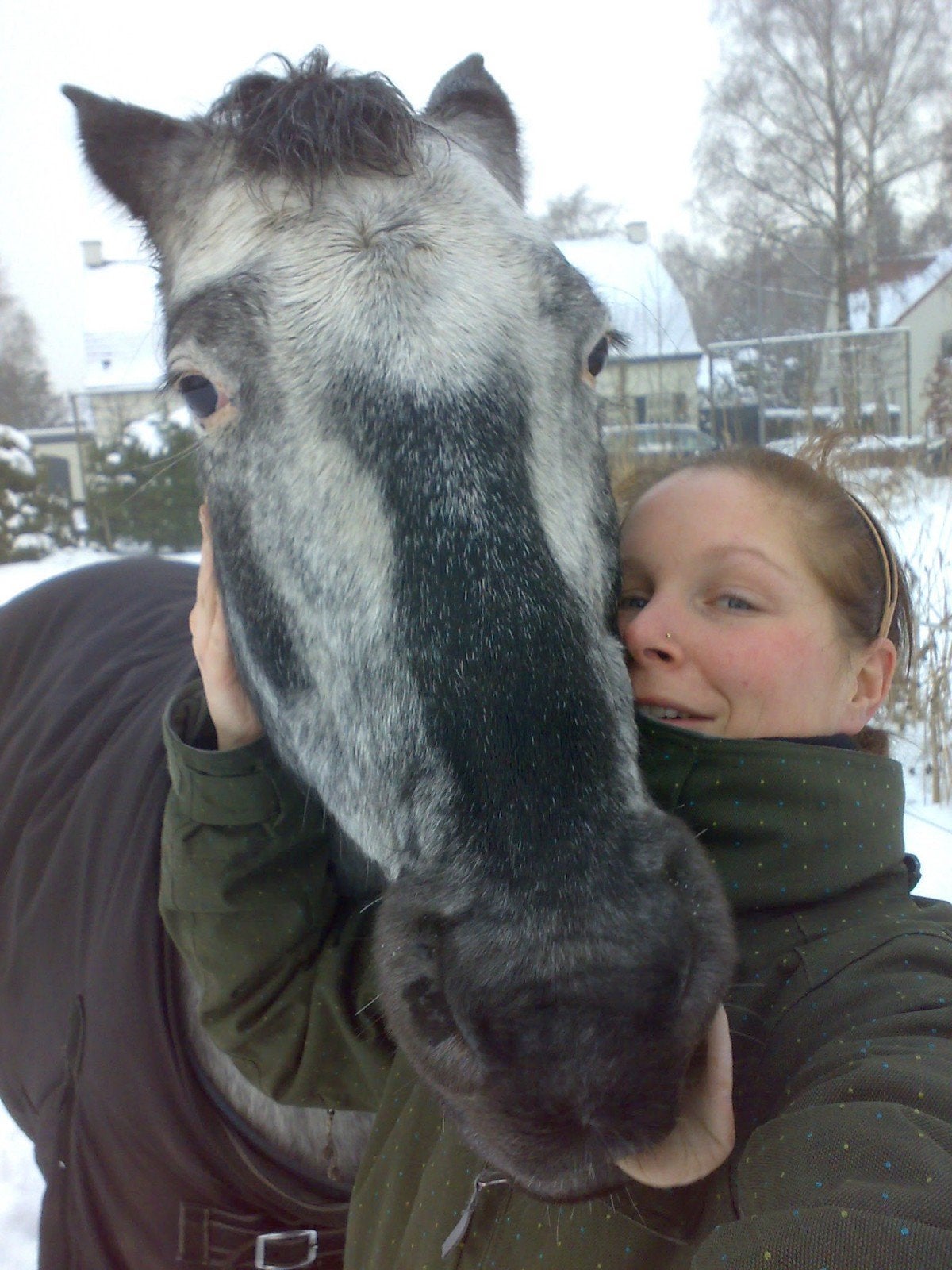 GEZOCHT: Betrouwbare Appaloosa, Quarter, Pinto Horse, Dieren en Toebehoren, Merrie, Zadelmak, Minder dan 160 cm, Recreatiepaard