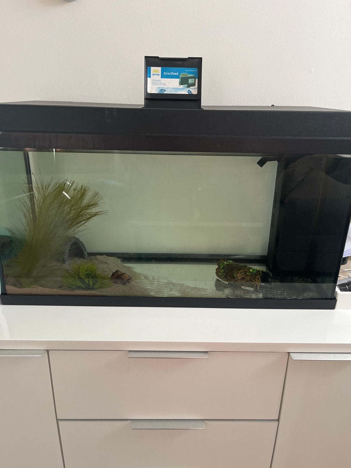 Juwel Aquarium, Dieren en Toebehoren, Vissen | Aquaria en Toebehoren, Ophalen, Leeg aquarium