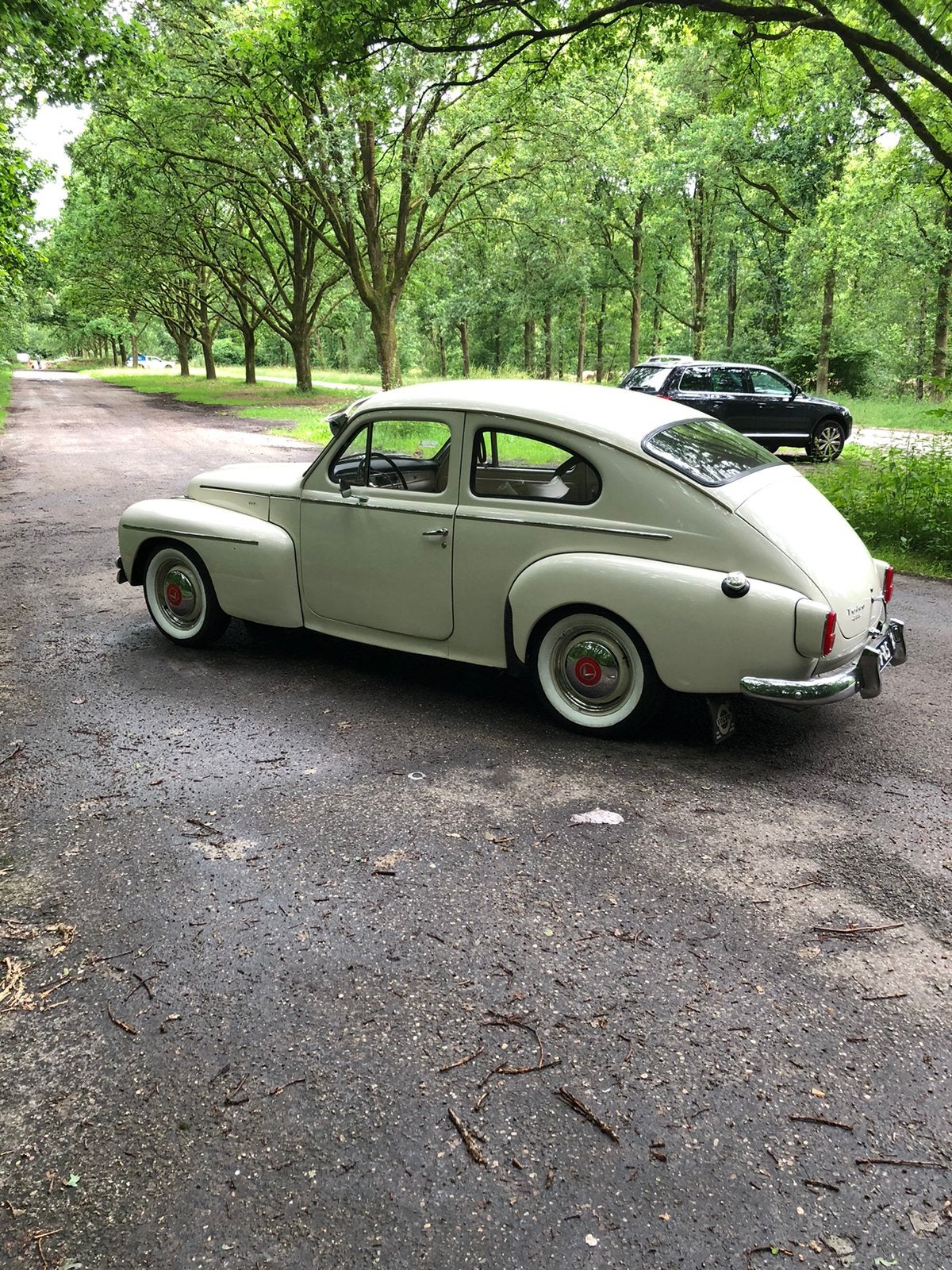 Volvo Pv544 1.8 C 1964 Wit, foto 9