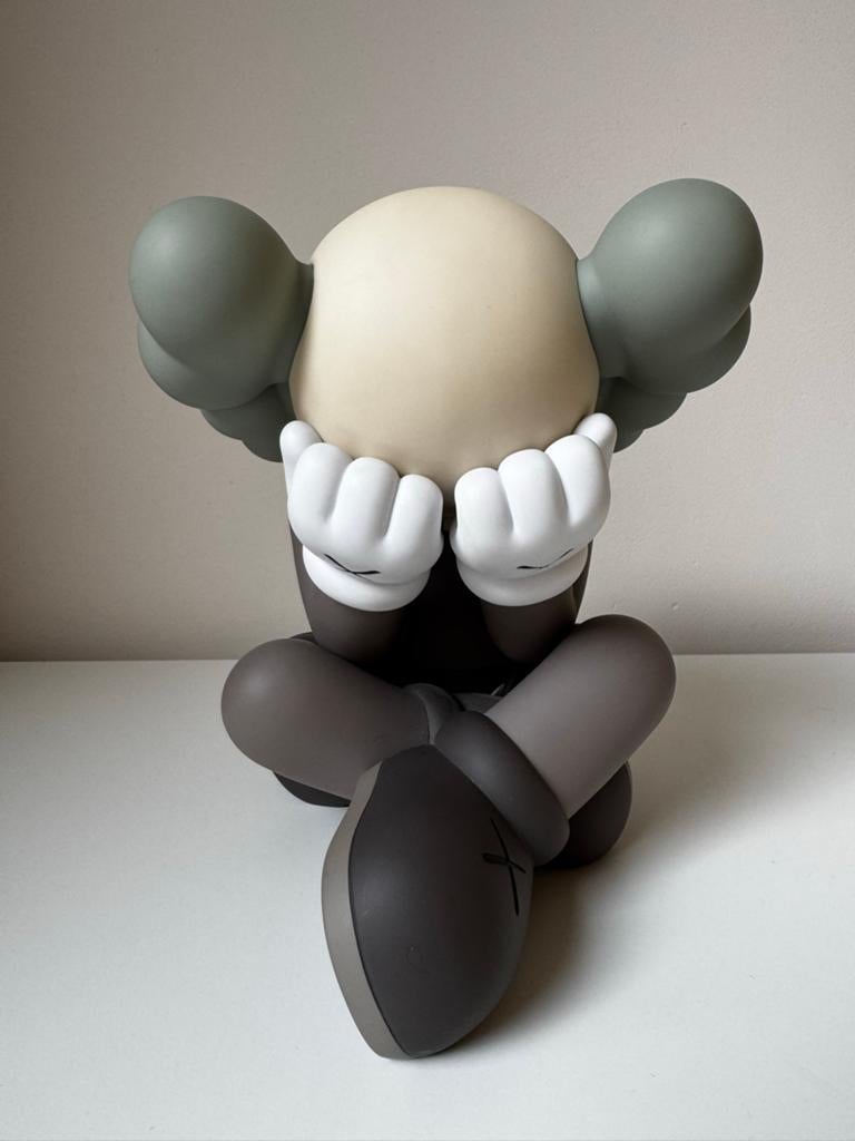 KAWS Separated: Brown, Ophalen of Verzenden
