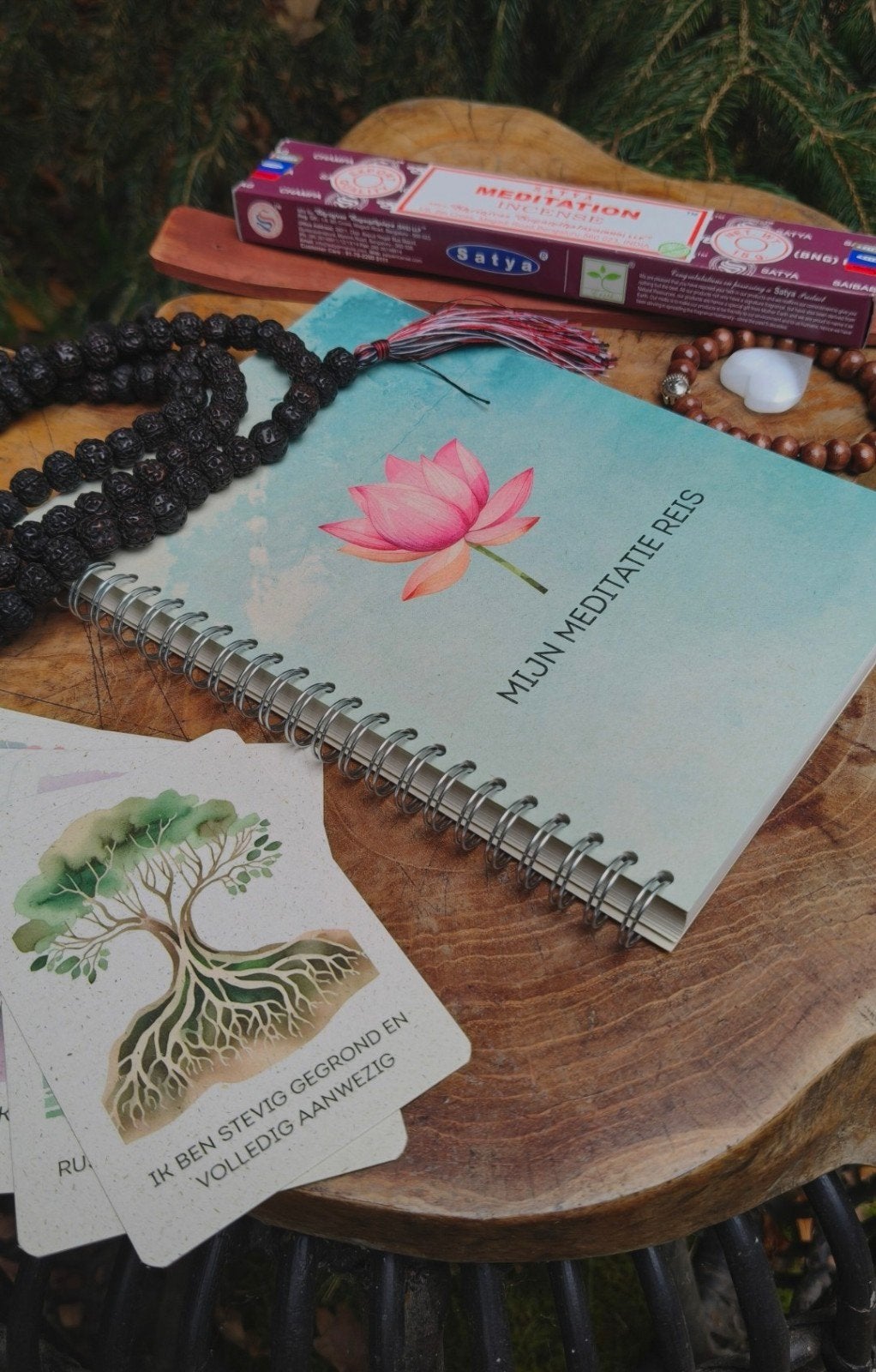 Meditatie Journal + Affirmatiekaarten | Nieuw, Boeken, Esoterie en Spiritualiteit, Verzenden, Nieuw, Meditatie of Yoga, Instructieboek