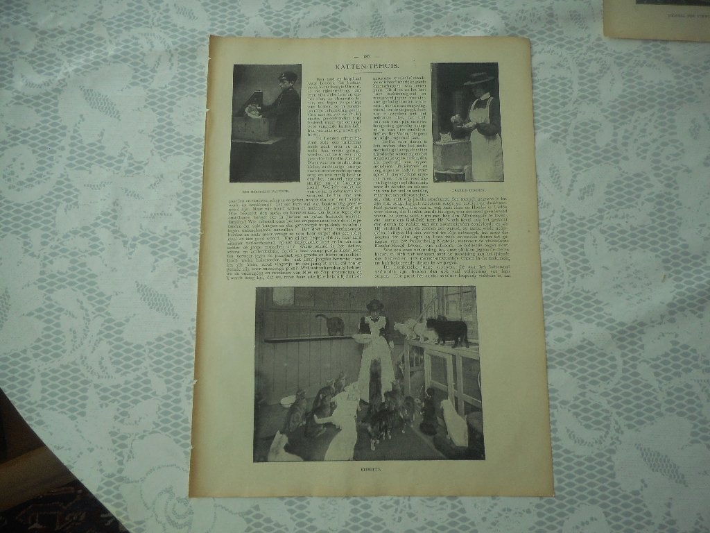 Utrecht. Katten-tehuis. 1905., Ophalen of Verzenden, Voor 1920, Nederland, Knipsel(s)