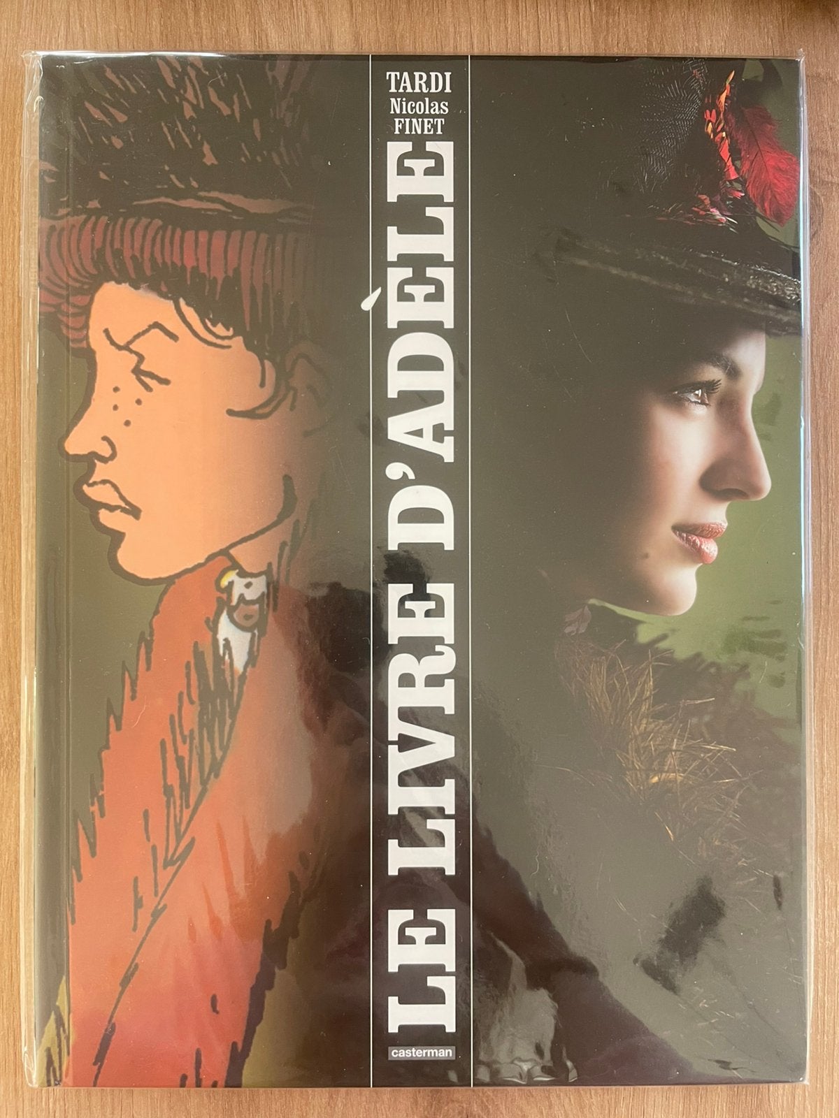 Le livre d’ adéle, Boeken, Eén stripboek, Ophalen of Verzenden, Zo goed als nieuw