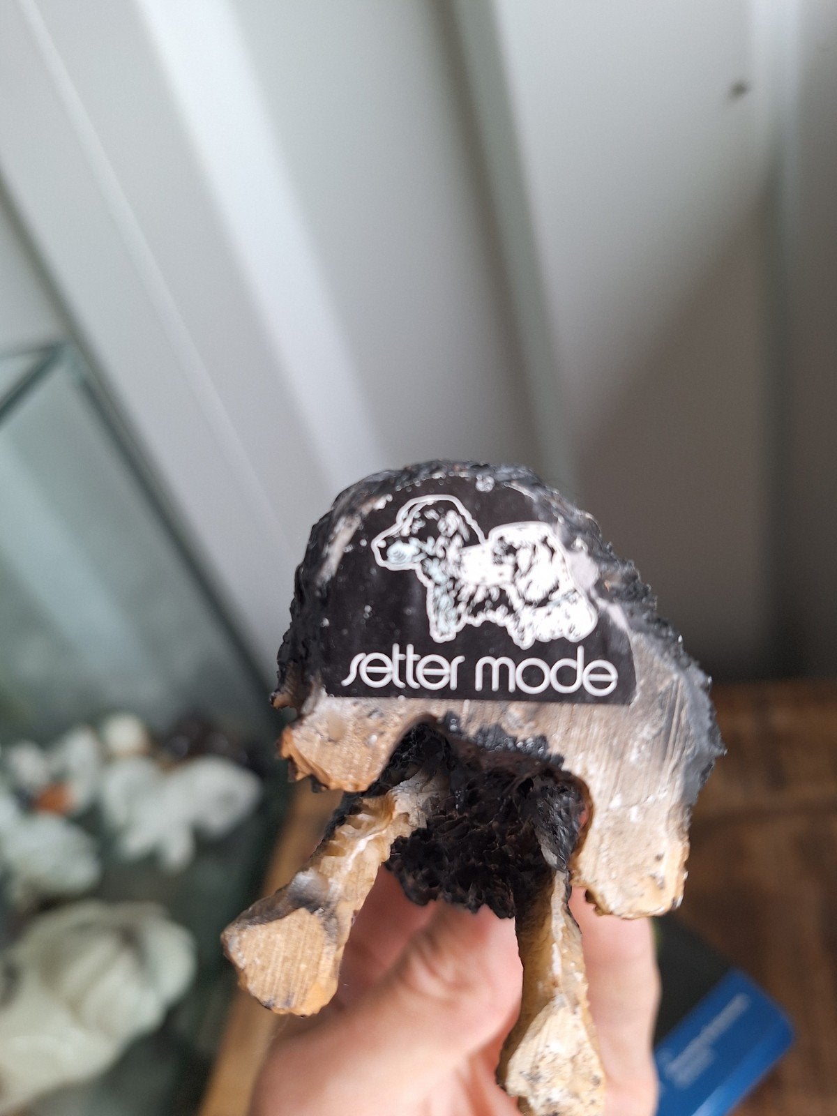 Setter Mode Hond Beeldje - Zwart/Bruin, Verzamelen, Ophalen of Verzenden, Zo goed als nieuw, Dier
