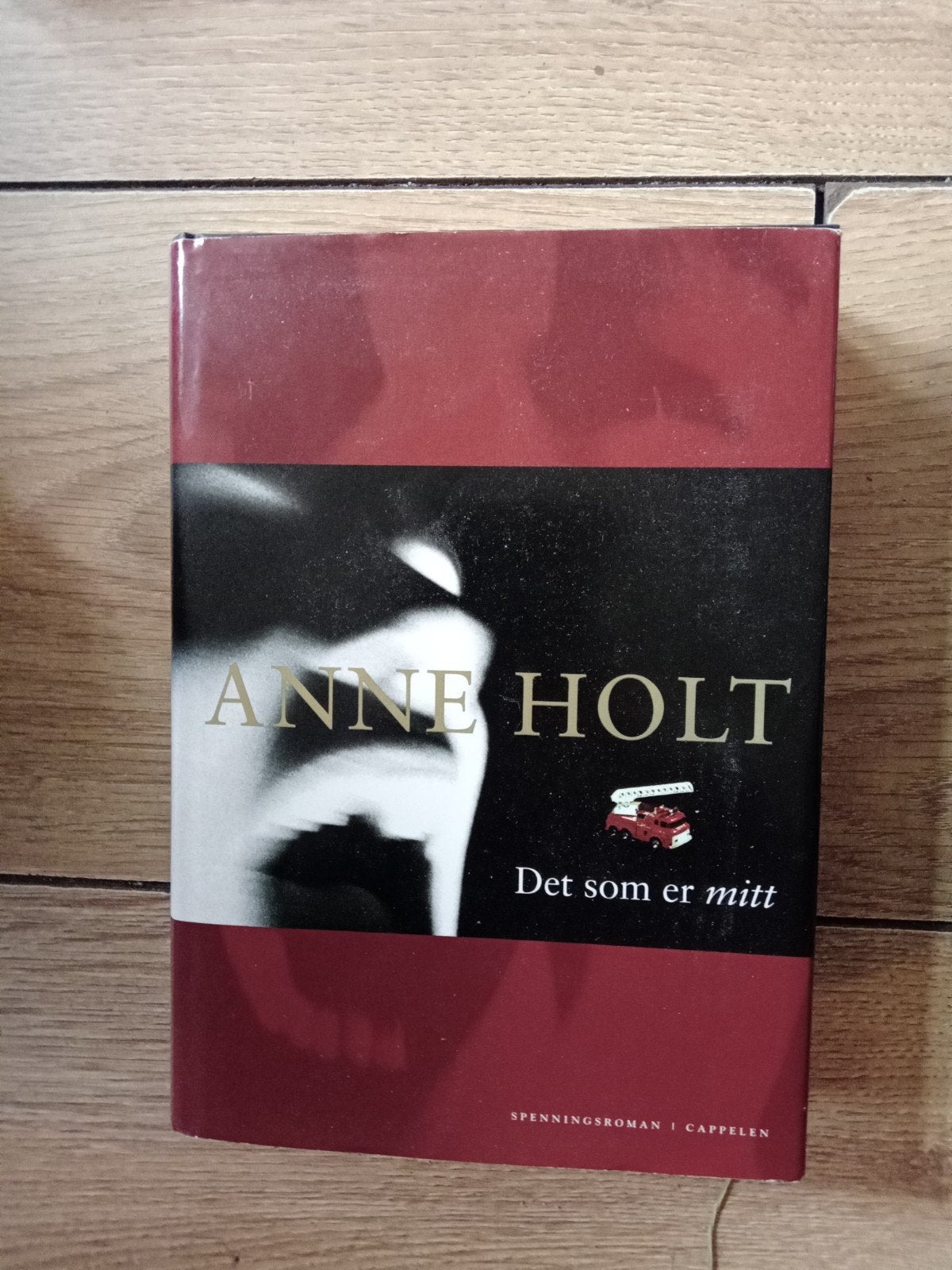 Anne Holt - Det som er mitt (Noorse thriller), Gelezen, Anne Holt, Scandinavië, Ophalen of Verzenden