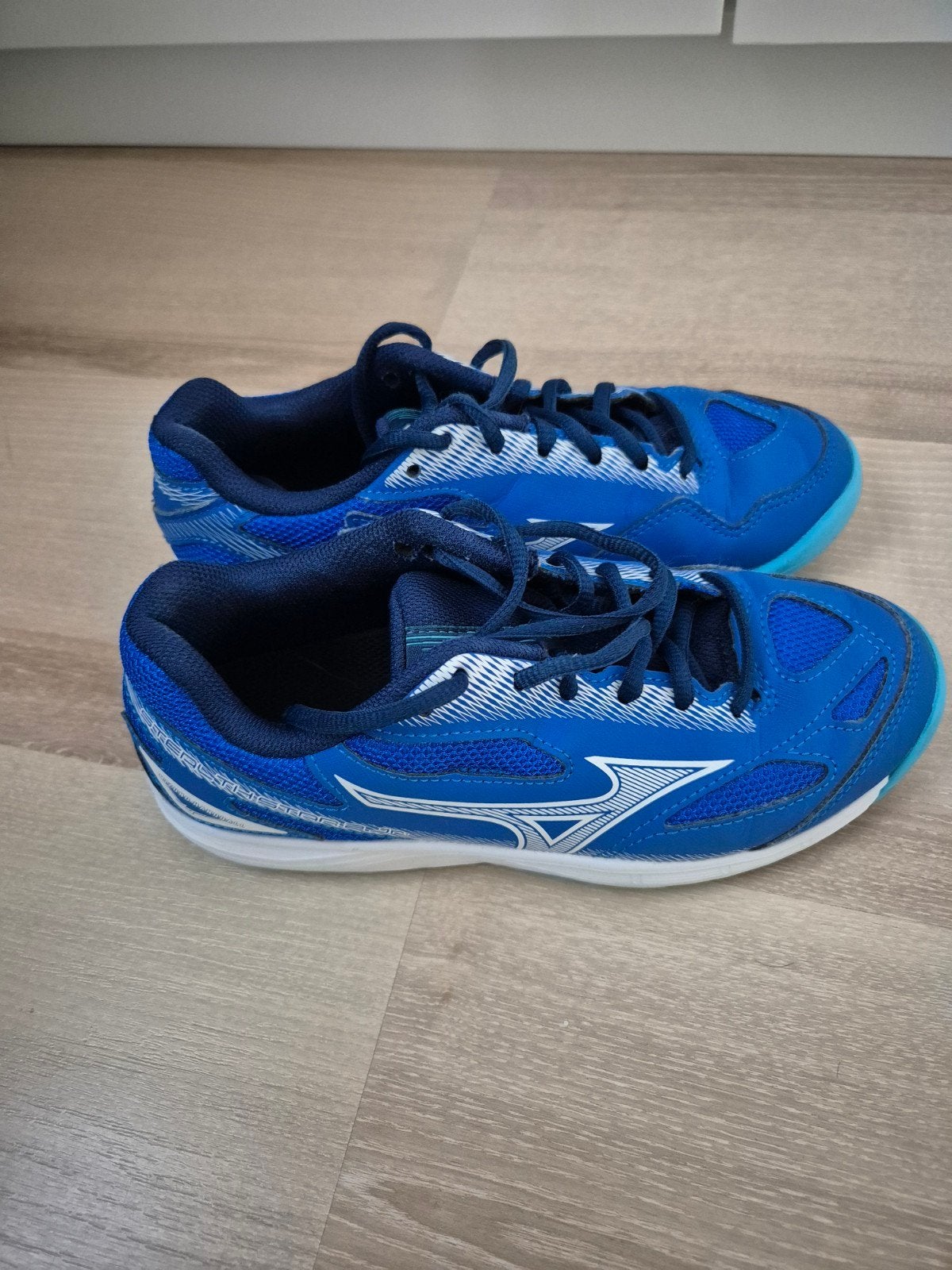 Mizuno zaalschoenen Blauw Maat 35, Sport en Fitness, Ophalen of Verzenden, Overige typen