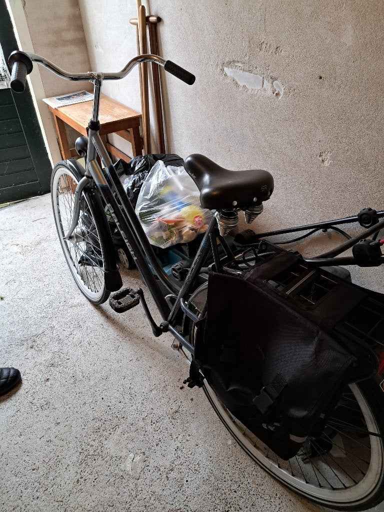 Fiets Raleigh, model: Worker, Overige merken, Terugtraprem, Gebruikt, Minder dan 49 cm
