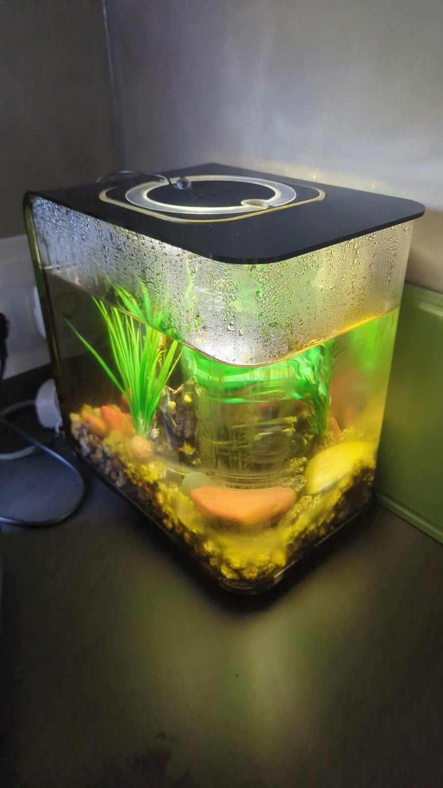biorp 15 liter zwart, Overige merken, Ophalen of Verzenden, Zo goed als nieuw, Leeg aquarium