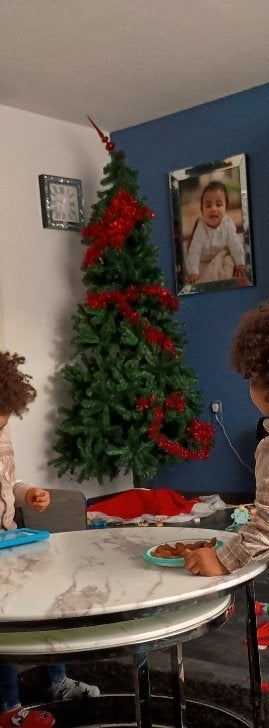 Kerstboom te koop!, Diversen, Ophalen, Nieuw
