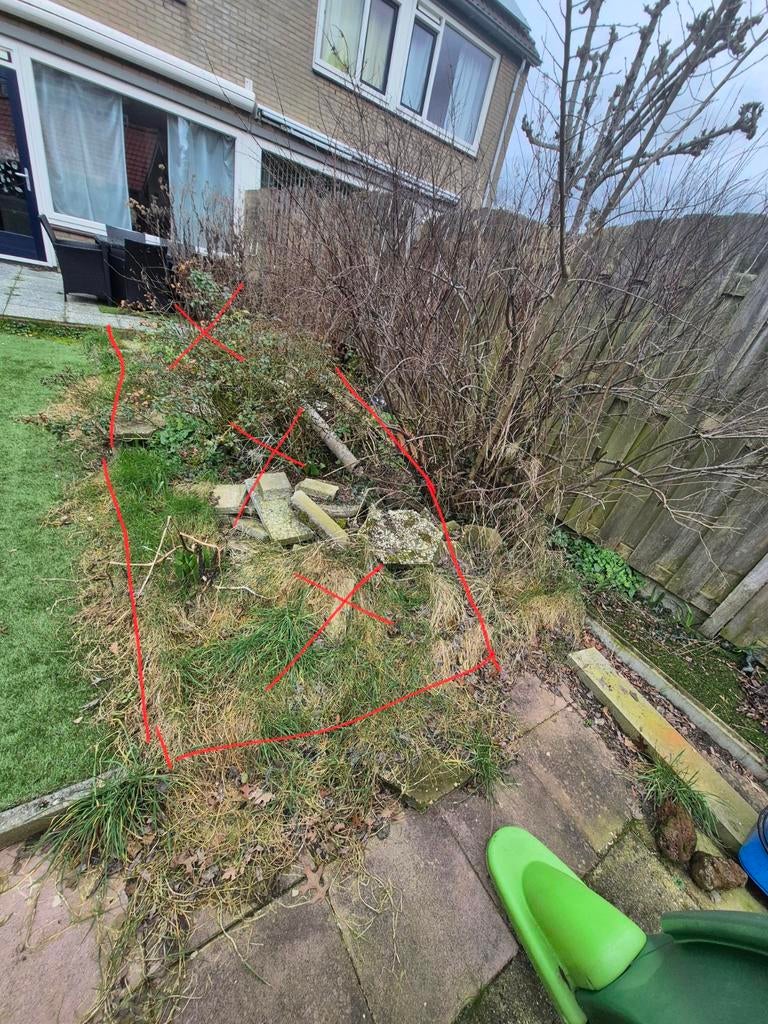 Gezocht: Verwijderen + afvoeren + stuk kunstgras plaatsen., Tuin en Terras, Planten | Bomen, Ophalen of Verzenden, Zomer, Volle zon