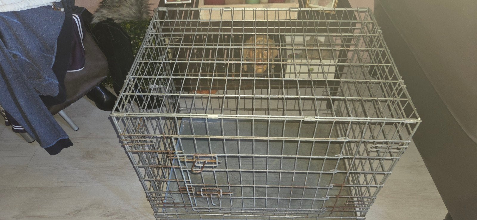 Honden bench gratis, Ophalen, Gebruikt