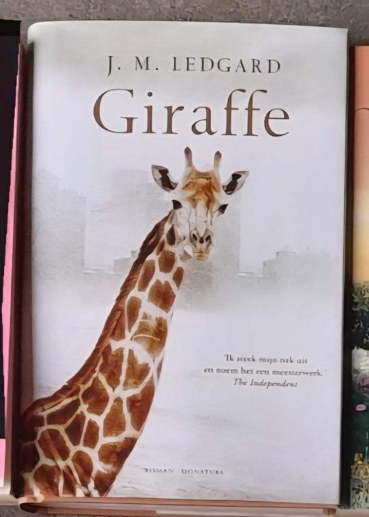 Ledgard J.M. : Giraffe, Boeken, Romans, Zo goed als nieuw, Ophalen of Verzenden