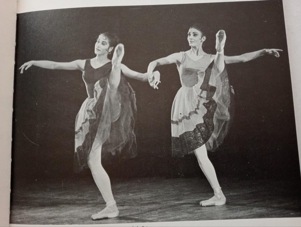 Alexandra Radius Een danscarrière - Ine Rietstap, Boeken, Ophalen of Verzenden, Gelezen, Ballet of Musical