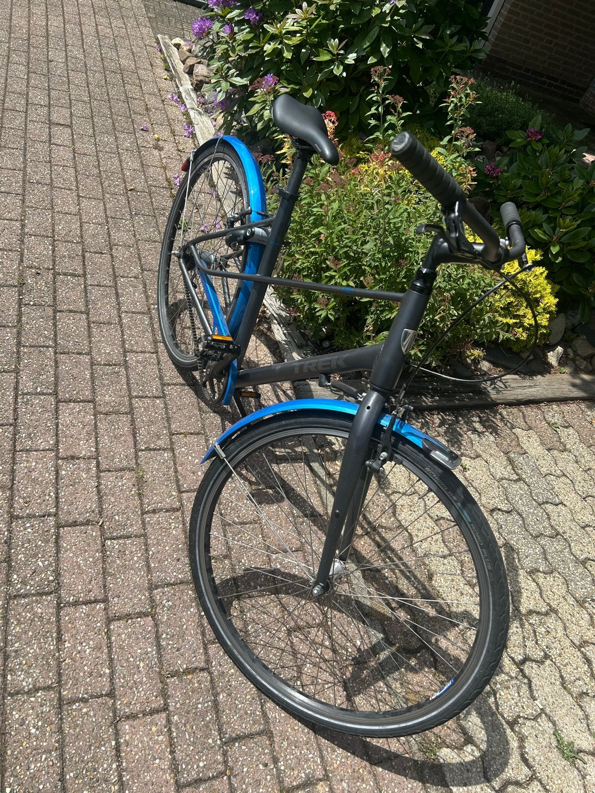 Trek Singlespeed Belt Drive Damesfiets 53 cm, Gebruikt, Velgrem, 50 tot 53 cm, Ophalen