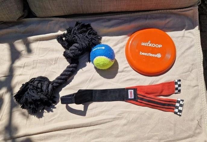 Honden speeltjes, Ophalen, Hondenballen